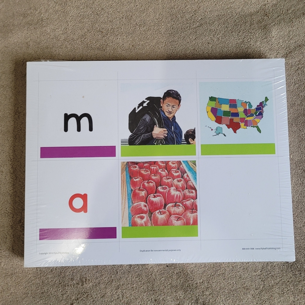 Flyleaf Reading Flashcards NEW SEADLED